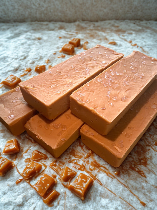 Salted Caramel Fudge Bar